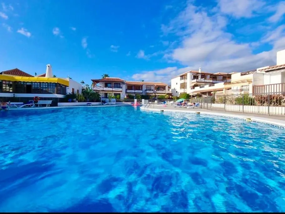 Lovely Suite On Frontline Of Tenerife Best Beach! Costa Adeje  Costa Adeje (Tenerife)